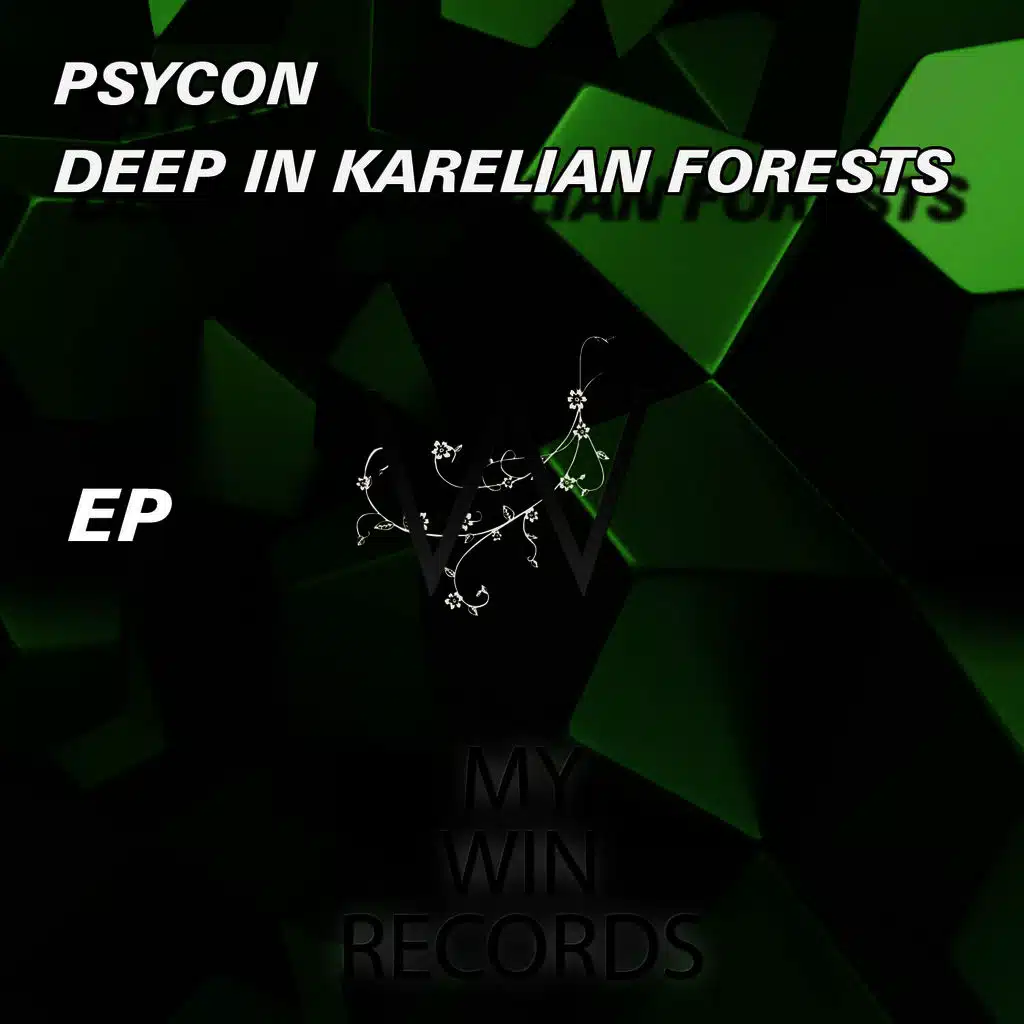 Deep In Karelian Forests (Original mix)