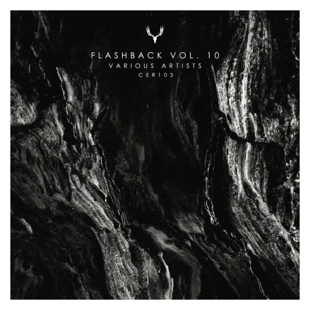 Flashback Vol. 10