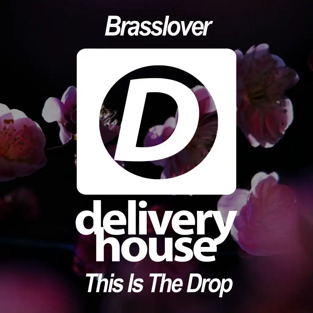 This Is The Drop (Original Mix)