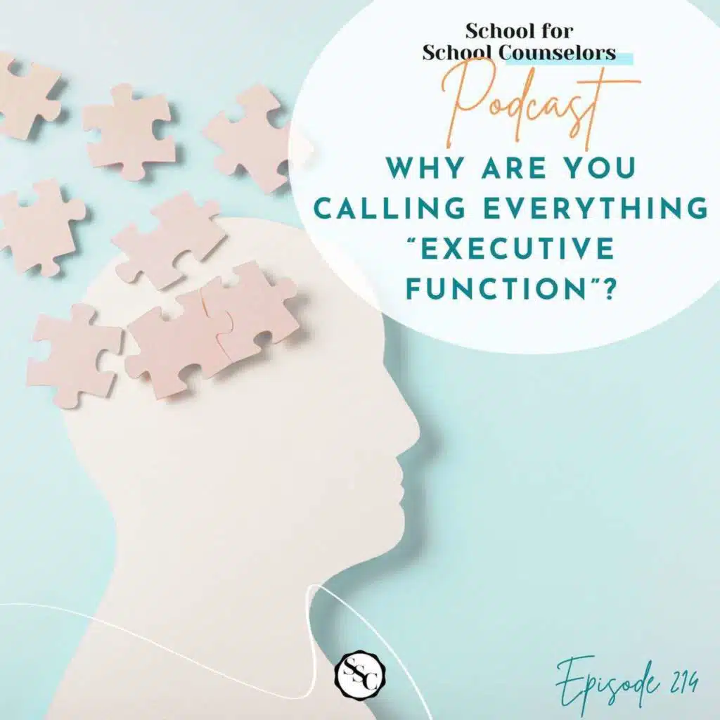 Why Are You Calling Everything “Executive Function”?