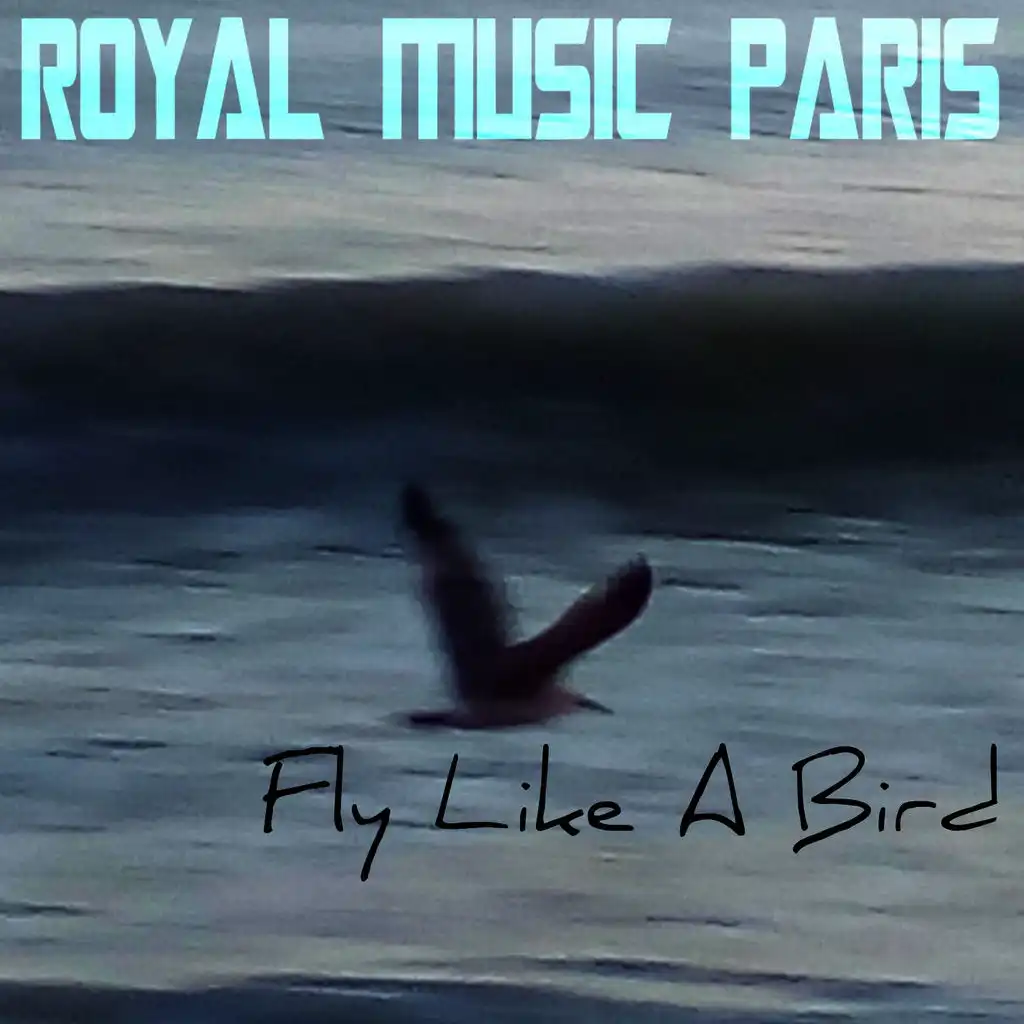 Fly Like A Bird (Original Mix)