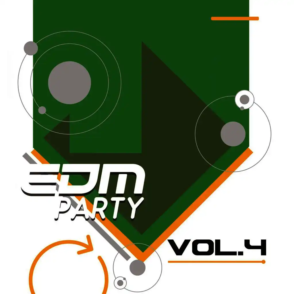 EDM Party: Vol.4