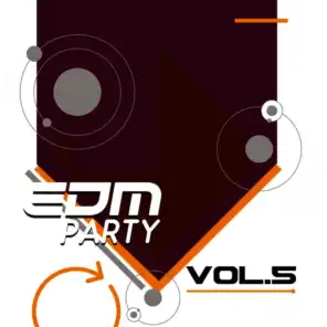 EDM Party: Vol.5