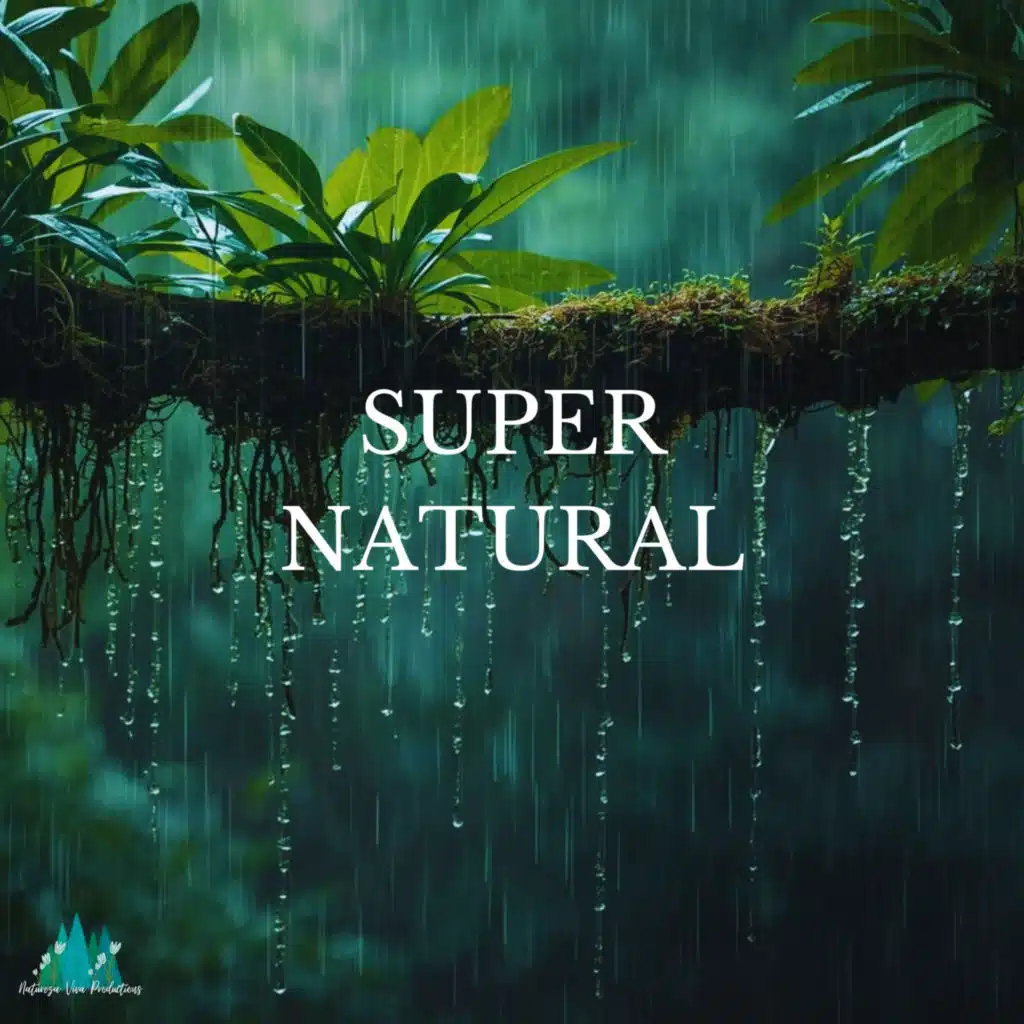 Natural Rain Sounds (P19)