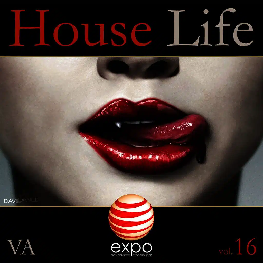 In Da Houz - Vol. 16