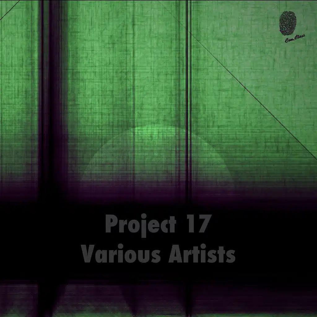 Project ?17