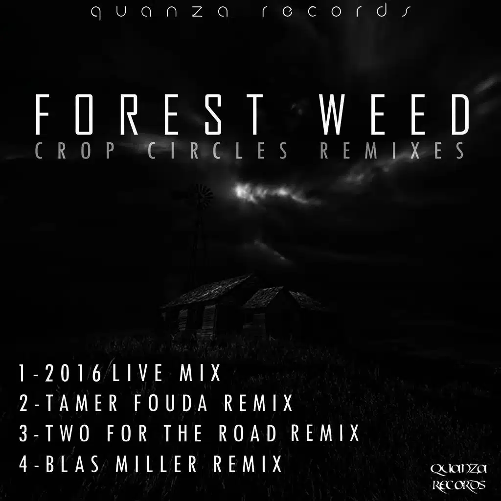 Crop Circles (Tamer Fouda Remix)