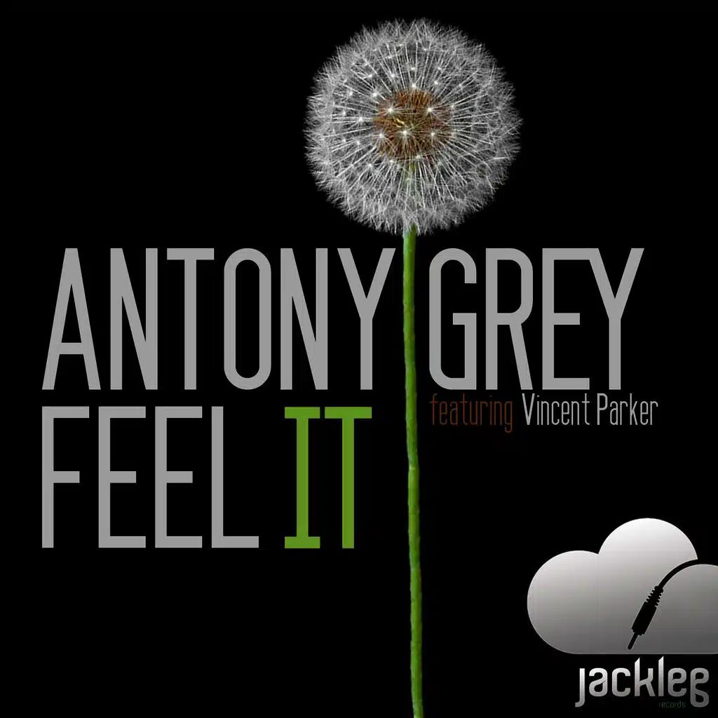 Feel It (Radio Edit)