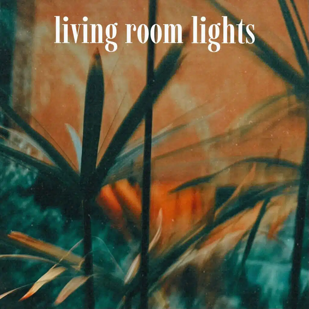 Living Room Lights