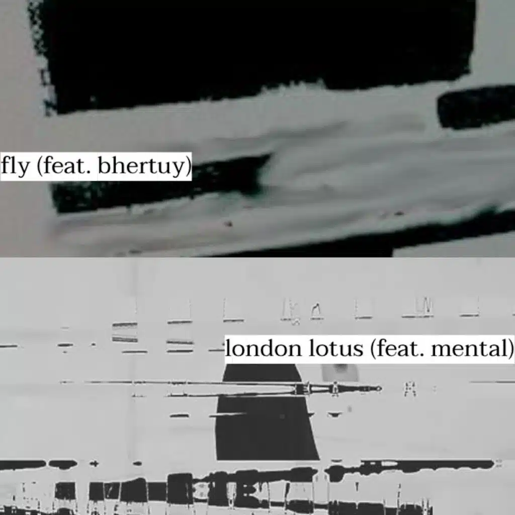 Fly / London Lotus