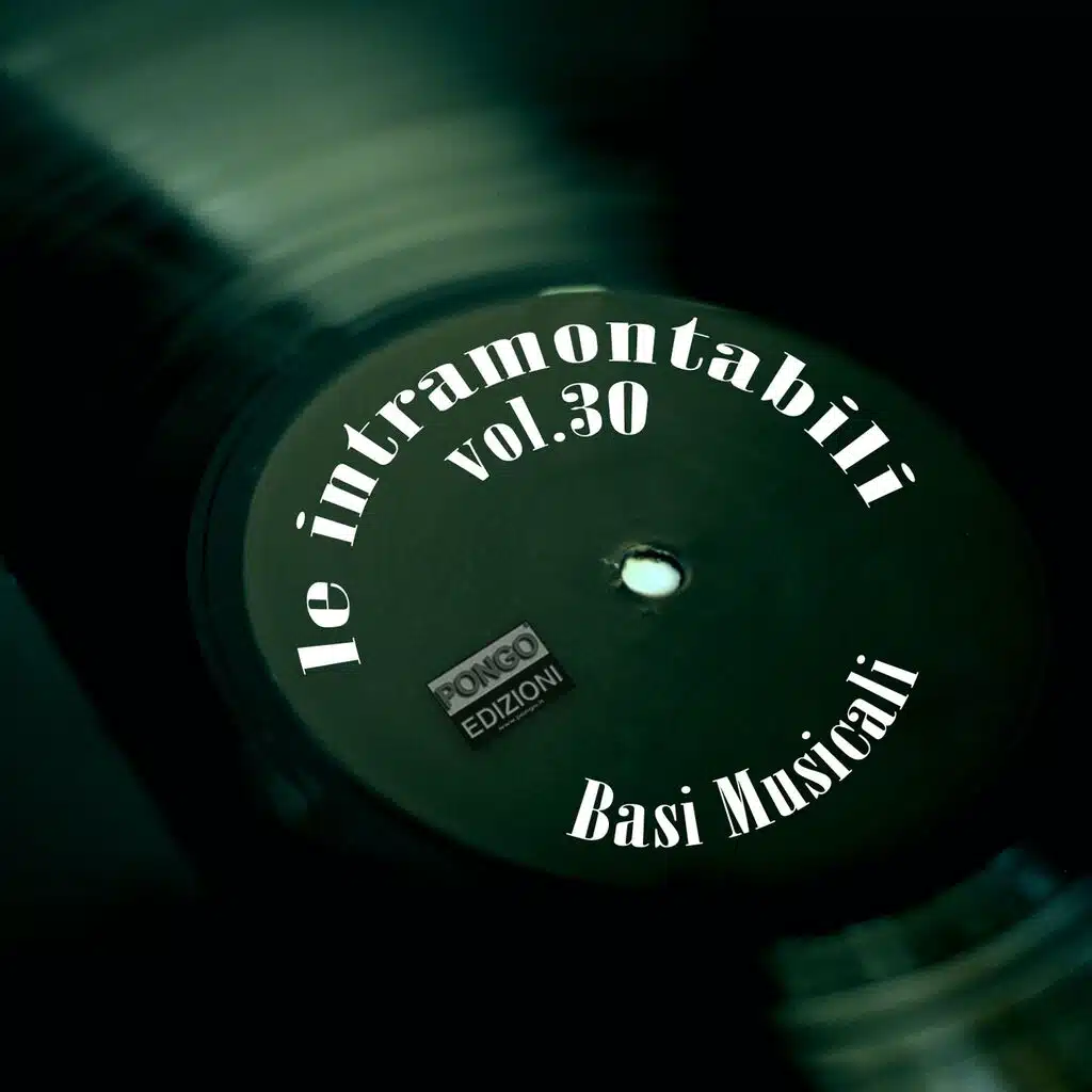 Le Intramontabili Basi Musicali, Vol. 30 (Instrumental)