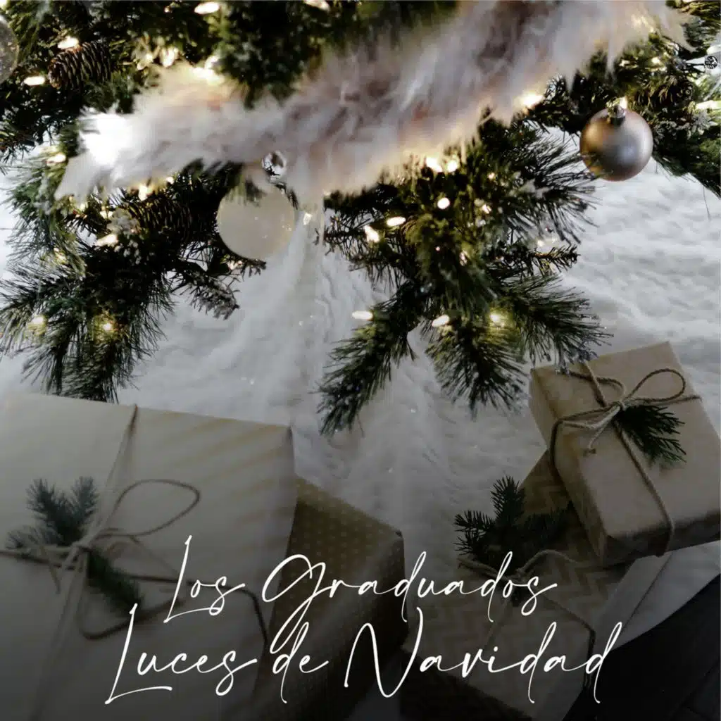 Luces De Navidad