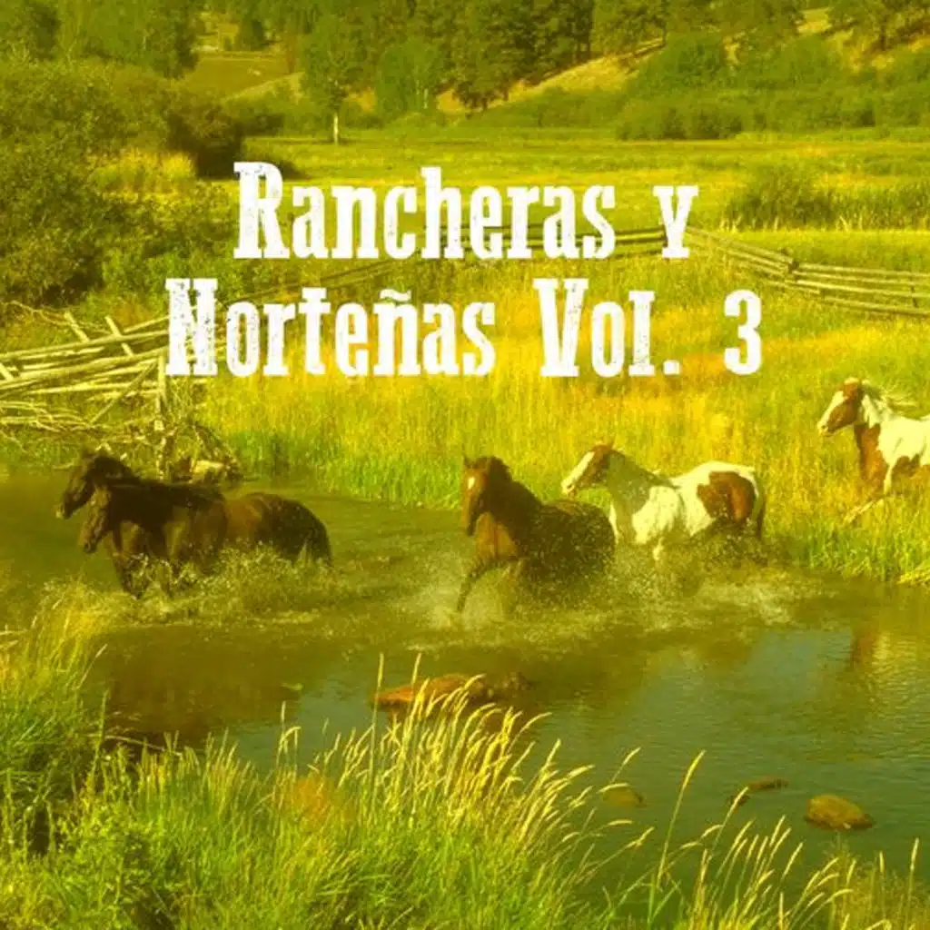 Rancheras Y Norteñas (Vol.3)