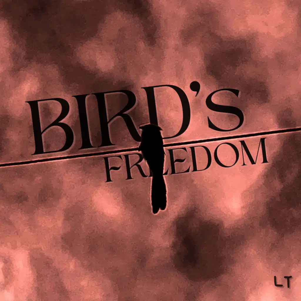 Bird's Freedom