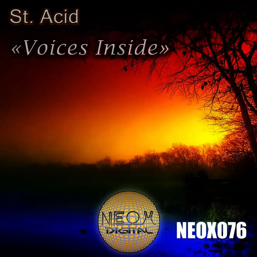 Voices Inside (Original Mix)