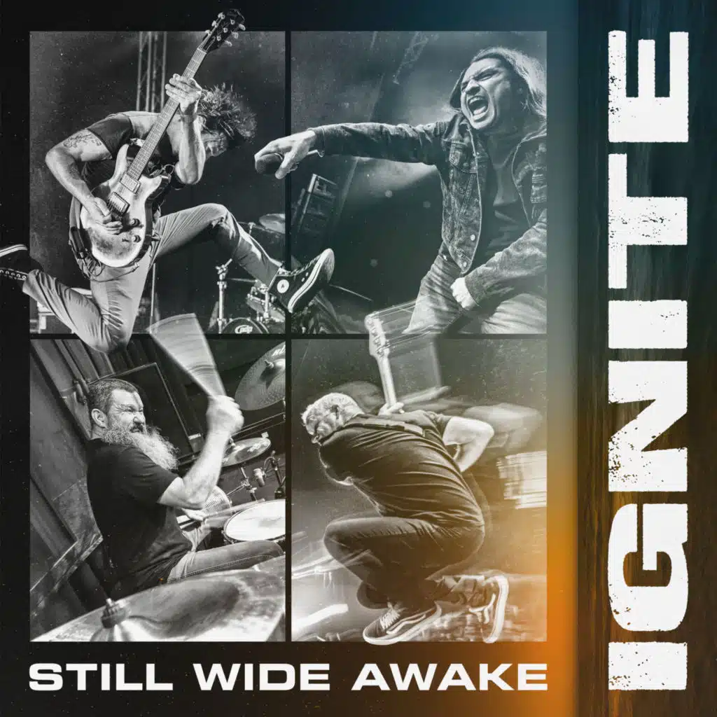 Still Wide Awake & Guilty Wounds