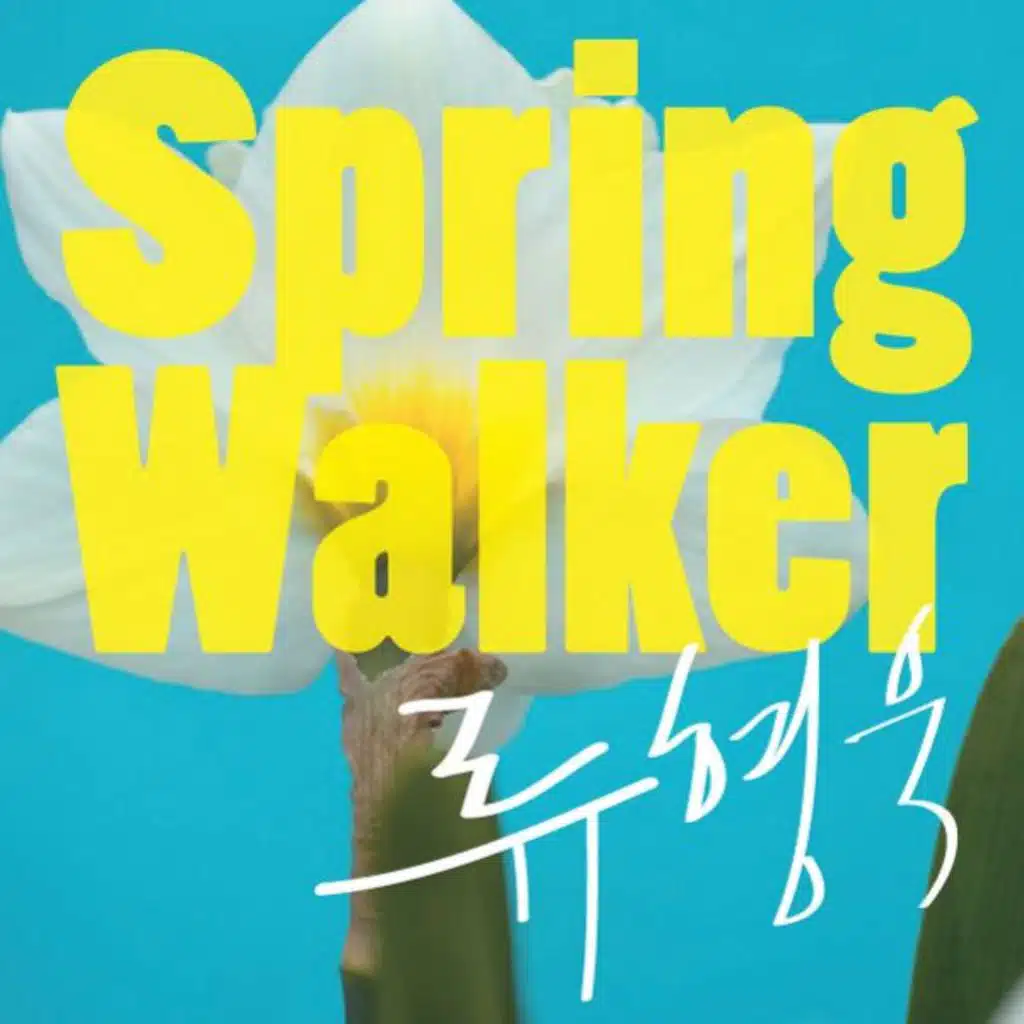 Spring Walker