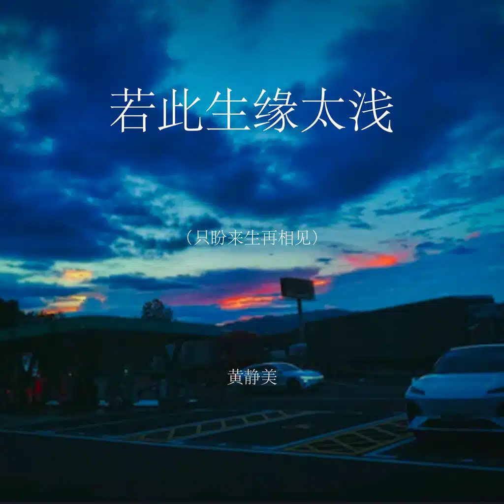 若此生缘太浅（只盼来生再相见）