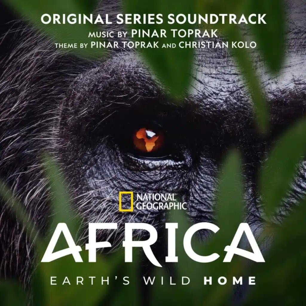 Fiddler Crabs (From "Africa Earth's Wild Home"/Score)