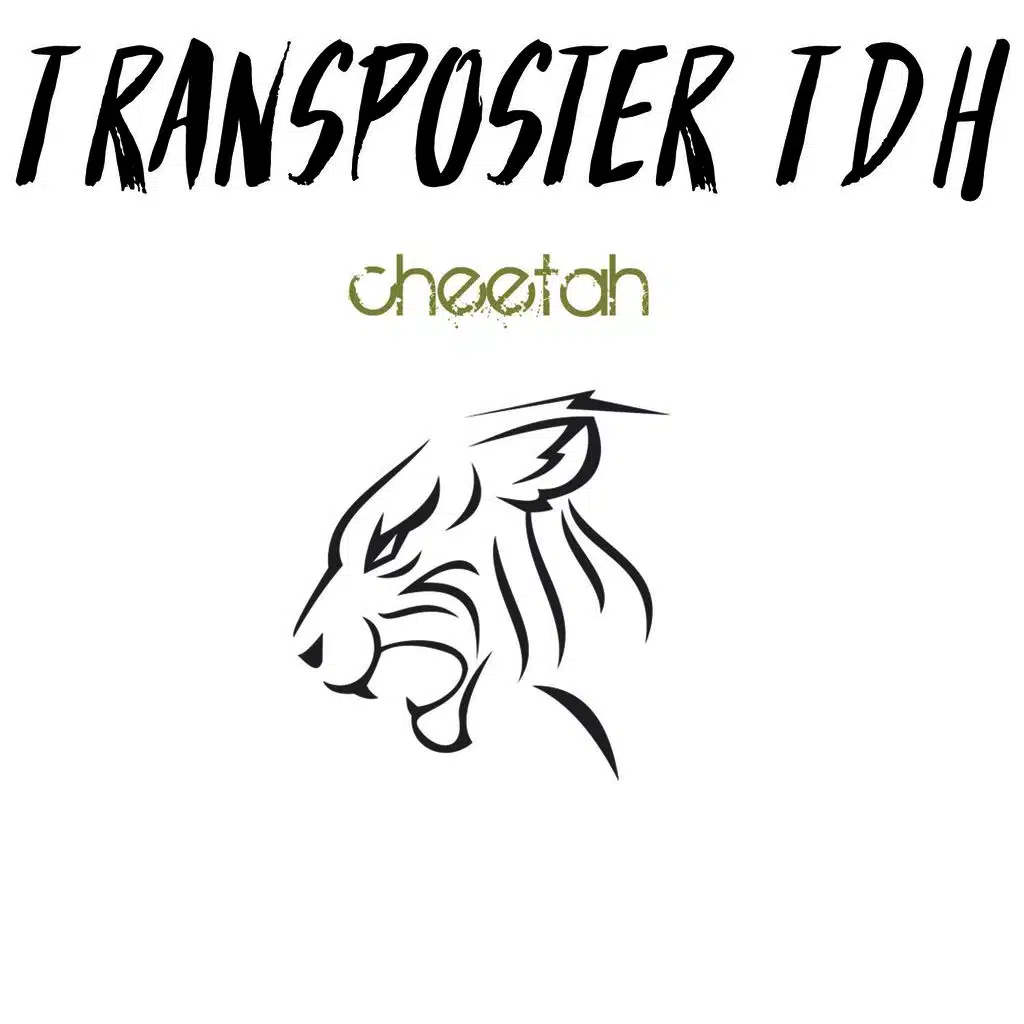 Transposter TDH