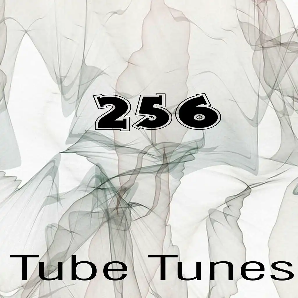 Tube Tunes, Vol.256