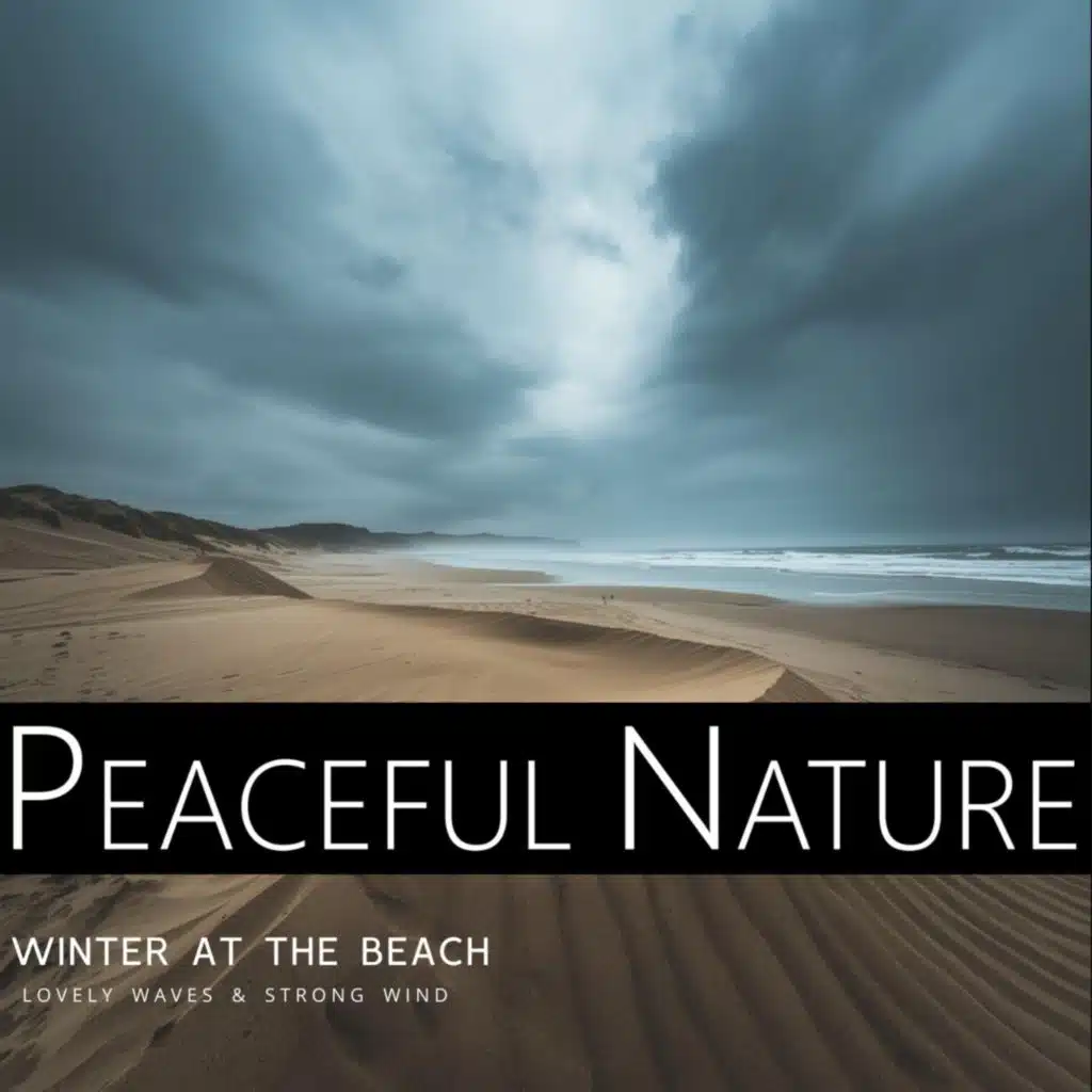 Peaceful Nature - Winter at the Beach - Lovely Waves & Strong Wind