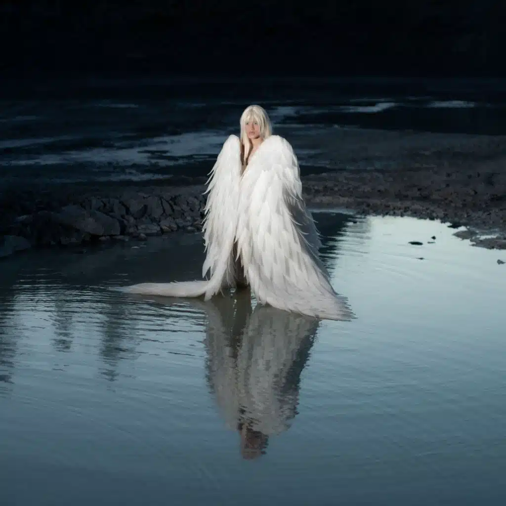 LOS CISNES
