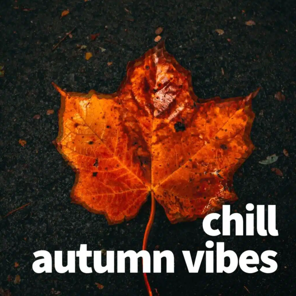 chill autumn vibes