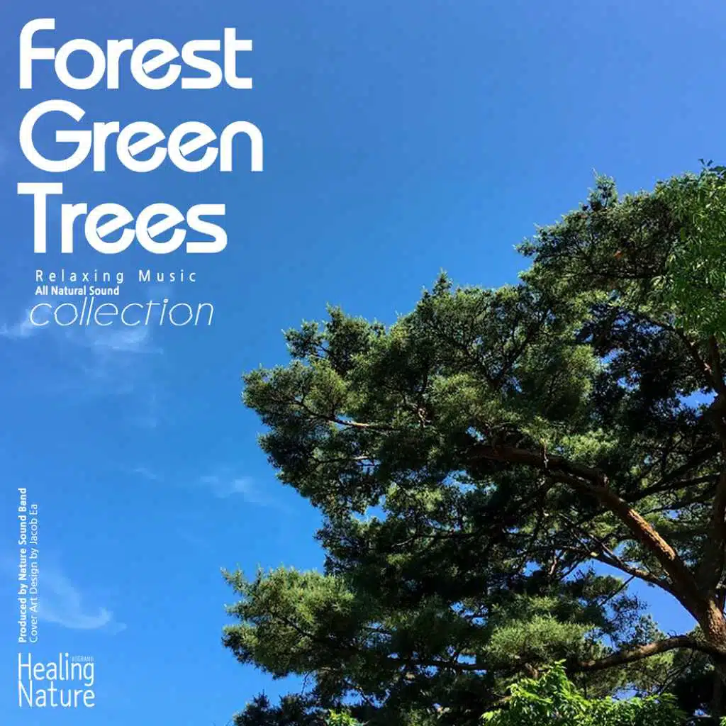 Forest Green Trees, Collection