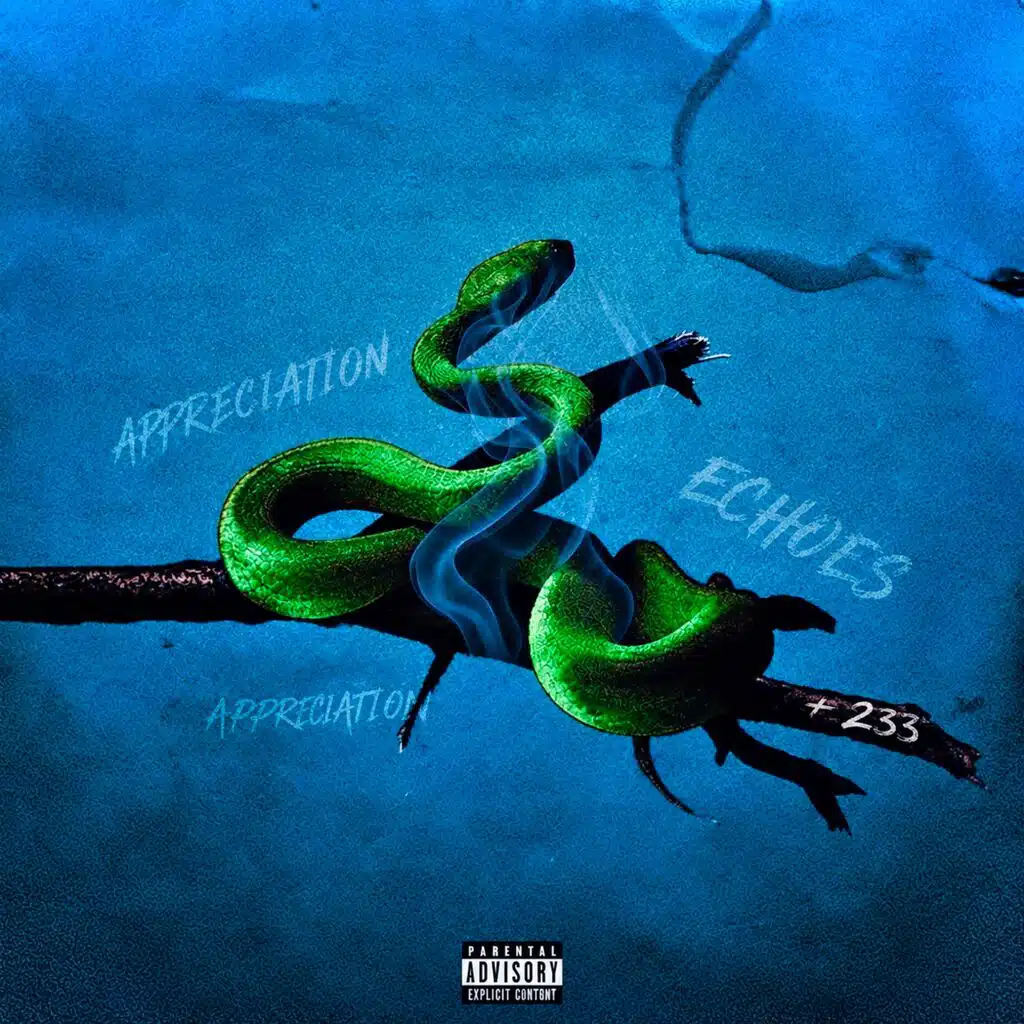 Echoes&Appreciation