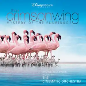 The Cinematic Orchestra & The London Metropolitan Orchestra
