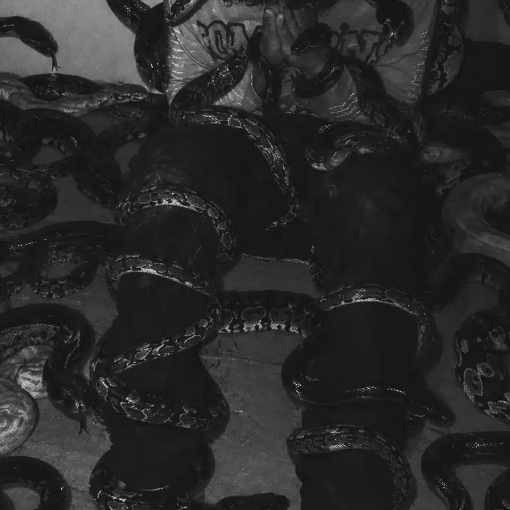 Stay with da snakes