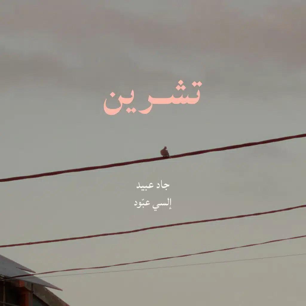 تشرين