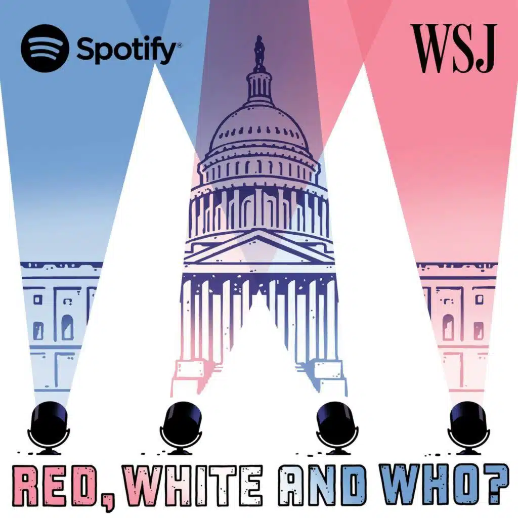 Red, White and Who? The Anti-AI Voters