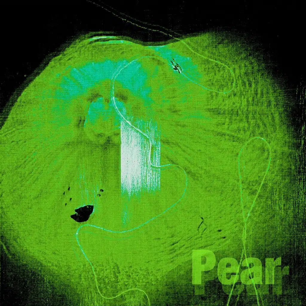 A Plump of Pears