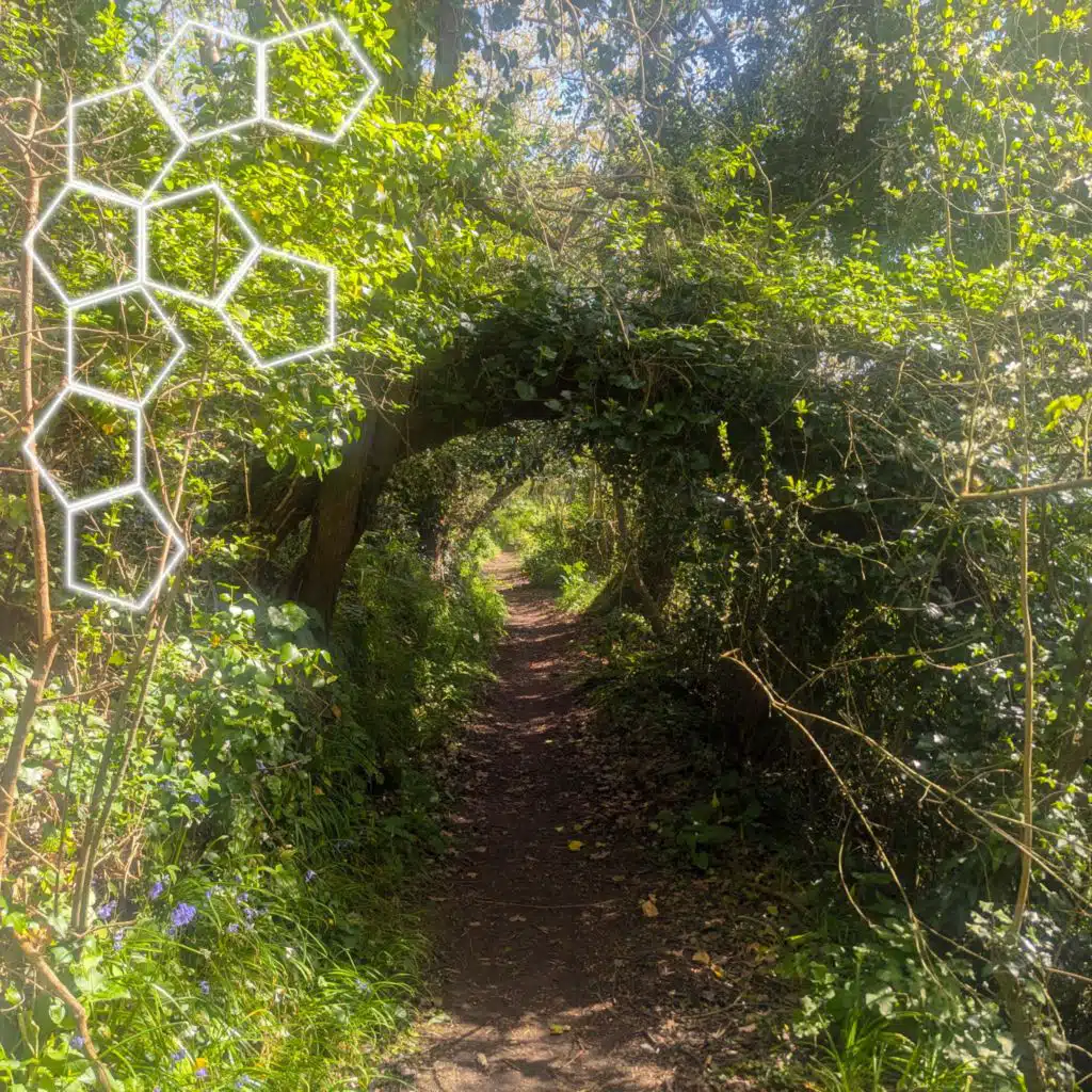 Lost In Nature