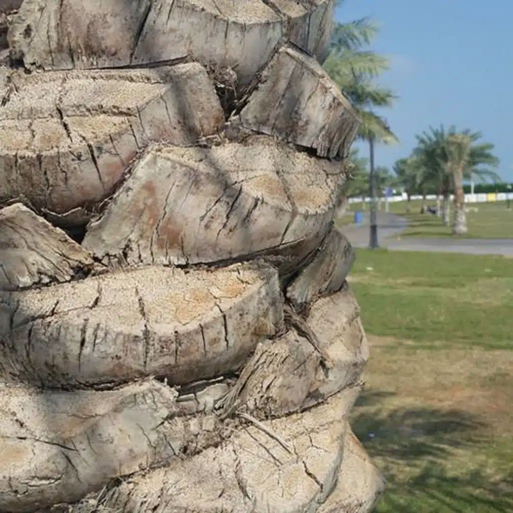 بودكاست الحلقة 11 - الاجور