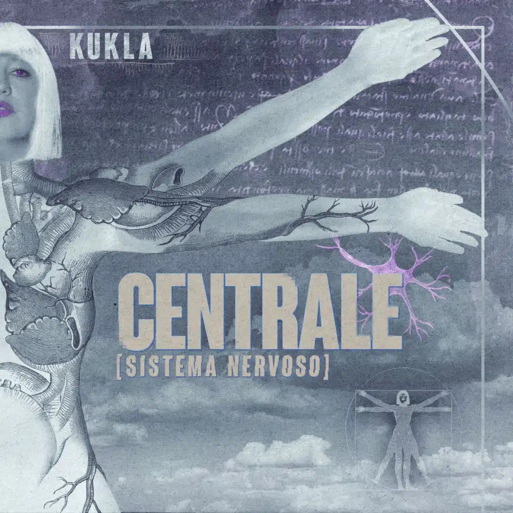 Centrale (Sistema Nervoso)