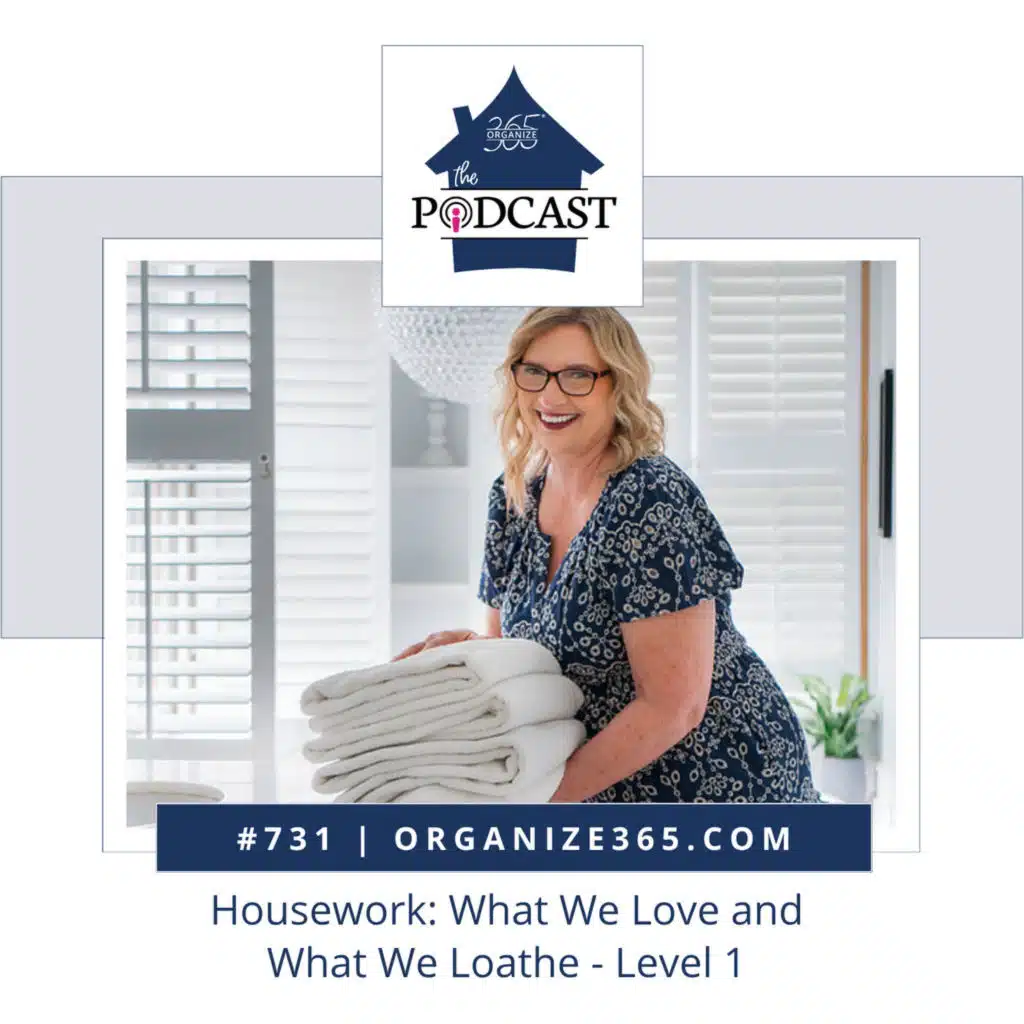 731 - Housework: What We Love and What We Loathe - Level 1