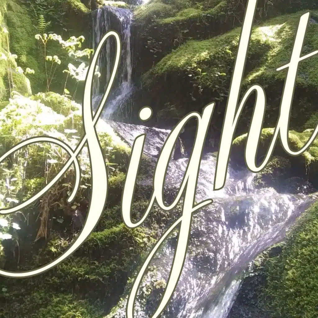 Sight