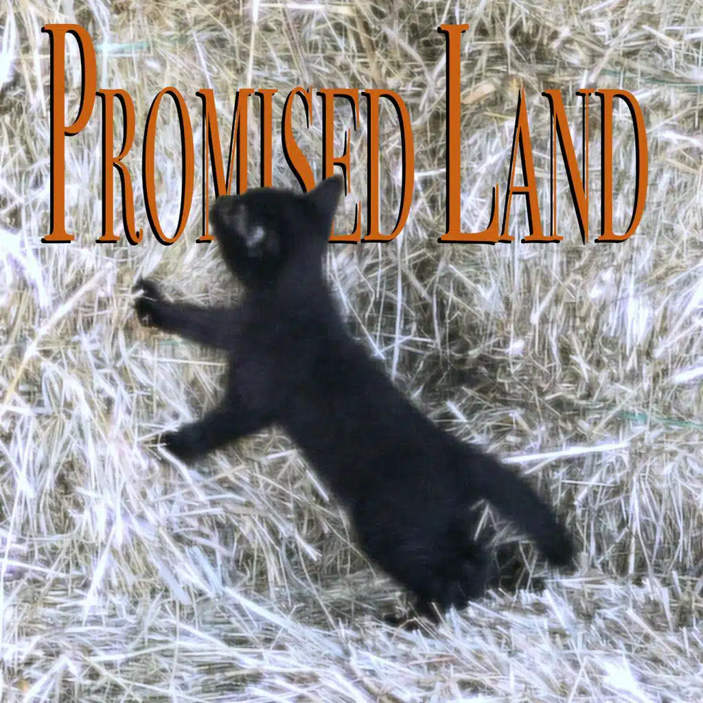 Promised Land