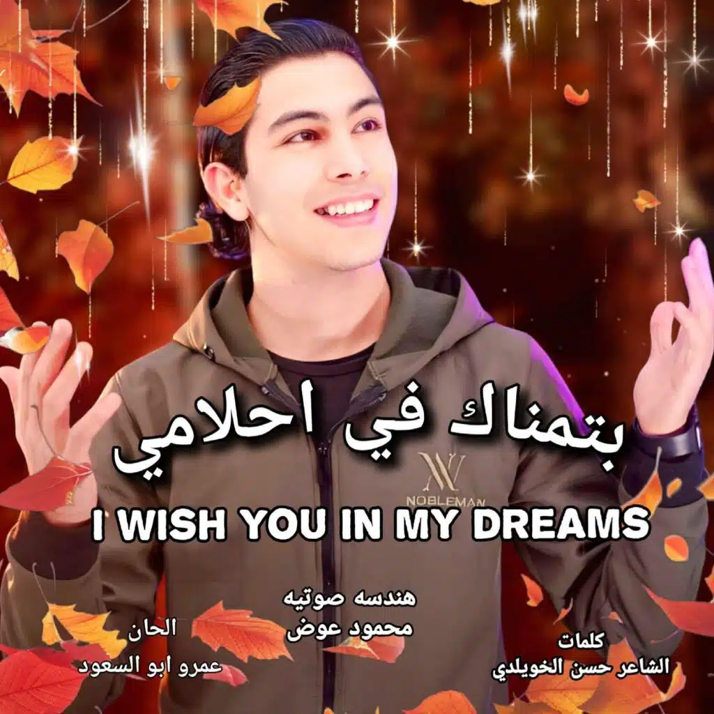 بتمناك في احلامي