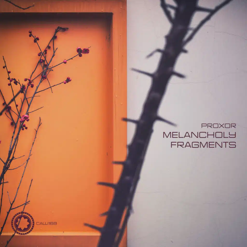 Melancholy Fragments