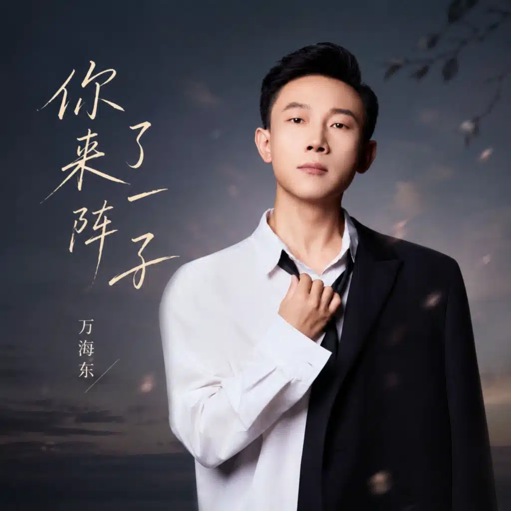 你来了一阵子