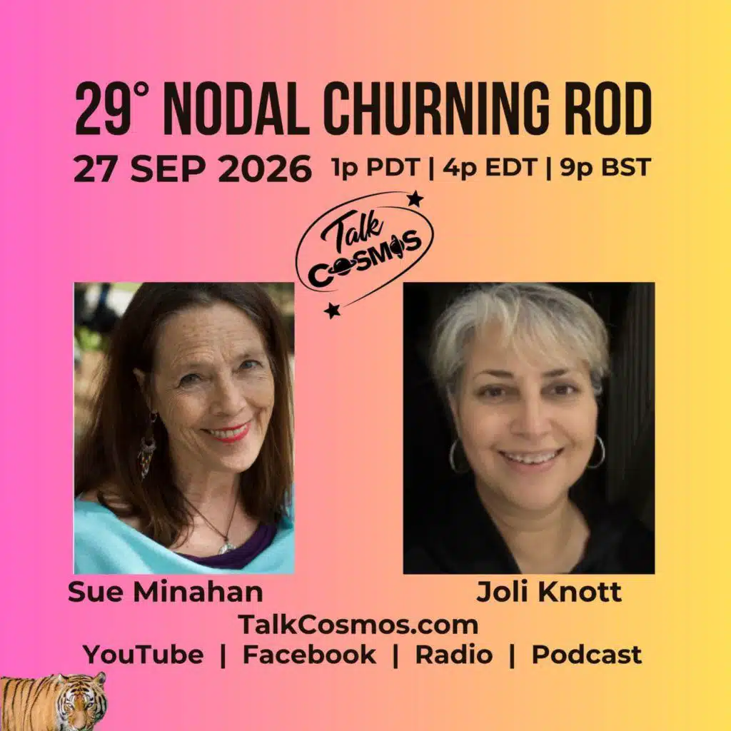 29° Nodal Churning Rod