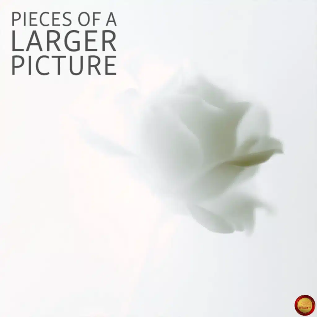 Pieces of a Larger Picture (Remastered 2026)