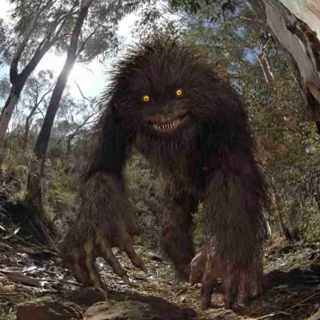 E235: The Yowie, Australia’s Hairy & Scary Humanoid