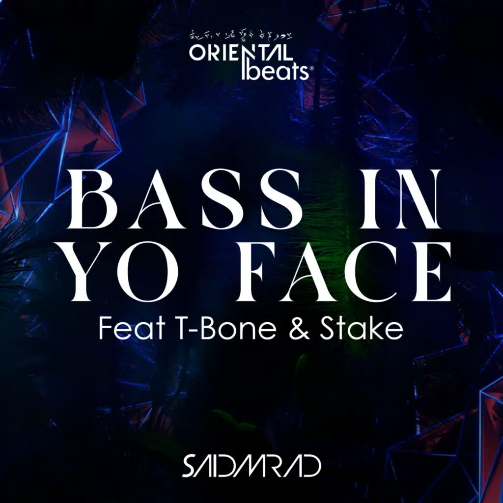 Bass In Yo Face (feat. T-Bone & Stake)