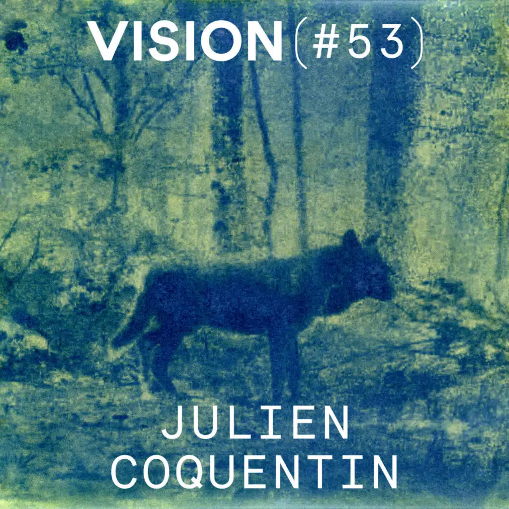 VISION #53 — JULIEN COQUENTIN | « Je me rends compte que chacune de mes séries se nourrit directement de ce que je suis en train de vivre »