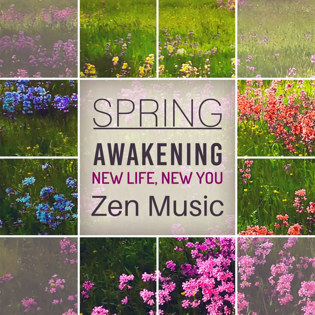 Spring Awakening: New Life, New You